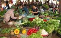 Khan hiếm nguồn hàng, giá các loại rau củ quả tăng mạnh tại Bạc Liêu