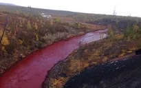 Nước sông tại Siberia chuyển màu đỏ như máu