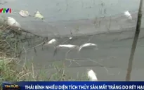 Thái Bình nhiều diện tích thủy sản mất trắng do rét hại