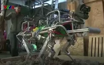 Robot giúp khắc phục hậu quả động đất