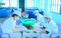 Quy hoạch vùng trồng rong nho phục vụ xuất khẩu
