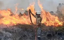 Điểm lại những vụ cháy rừng gây thiệt hại lớn trên thế giới