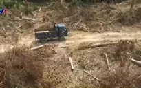 Quảng Bình: Xe tải lâm tặc vào tận “chân công trình” để chuyển gỗ