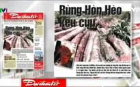 Điểm báo 20/6: Rừng Hòn Hèo (Khánh Hòa) đang “kêu cứu”!