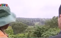 Giữ rừng hiệu quả với giao khoán rừng cho người dân
