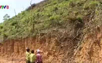 TT-Huế: Lâm tặc mở đường dài hàng trăm mét để vận chuyển gỗ