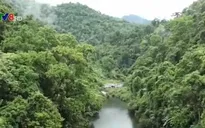 Ra mắt sáng kiến Cầu nối đa dạng Sinh học tại Quảng Bình