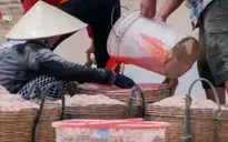 Rùng mình khả năng nhuộm đỏ ruốc của hóa chất lạ