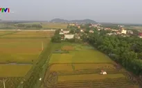 Tích tụ ruộng đất: Cần một quyết sách!