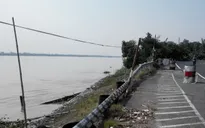 Liên tiếp sạt lở bờ sông tại Đồng Tháp