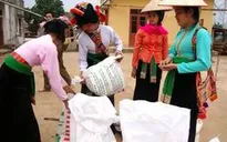 Hỗ trợ gạo cho 2 tỉnh Lào Cai, Quảng Trị