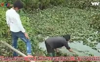 Cuộc sống túng quẫn của gia đình em học sinh nghèo mồ côi cha