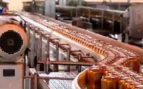 Sabeco, Habeco không lên sàn năm 2016, Bộ Công thương phải chịu trách nhiệm