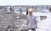 Sai phạm tòa nhà 8B Lê Trực: Giáng chức, điều chuyển cán bộ liên quan