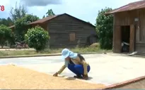Lâm Đồng: Xây dựng sân sạch cho đồng bào dân tộc thiểu số