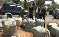 Hà Nội: Thu giữ hơn 30.000 sản phẩm thực phẩm chức năng nghi là giả