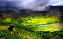 Quy hoạch Sa Pa thành khu du lịch quốc gia