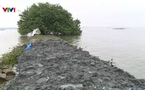 Mưa lũ làm hỏng nhiều đoạn đê biển ở TT-Huế