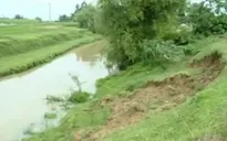 Bắc Giang: Gấp rút khắc phục sạt lở đê do bão số 1
