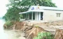 Đồng Tháp: Sạt lở nhấn chìm 1.000m2 đất