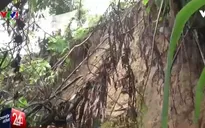 Lào Cai cần di dời 574 hộ dân ra khỏi vùng có nguy cơ sạt lở