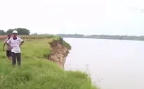 Quảng Nam: Sạt lở nghiêm trọng do hút cát lòng sông