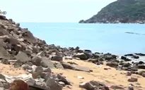 Hơn 9 tỷ đồng khắc phục sạt lở cửa sông Đà Nông, Phú Yên