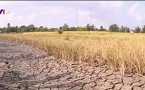 WB hỗ trợ 310 triệu USD ứng phó biến đổi khí hậu