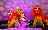 Tưng bừng Lễ hội Tết Nguyên đán và Carnival tại Cộng hòa Czech