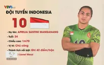 Những ngôi sao nổi bật tại VTV Cup 2016 - Tôn Hoa Sen