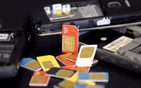 Bán hết 1.000 SIM Vinaphone đầu số 088 trong chưa đầy nửa giờ