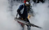Singapore khuyến cáo về dịch bệnh sốt xuất huyết và virus Zika