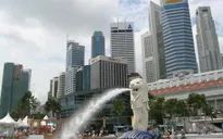 Kim ngạch xuất khẩu của Singapore giảm mạnh
