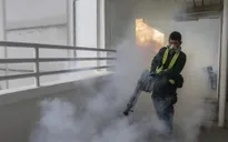 16 phụ nữ mang thai nhiễm Zika tại Singapore