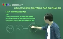 Chinh phục kỳ thi môn Sinh: Các cơ chế di truyền ở cấp độ phân tử