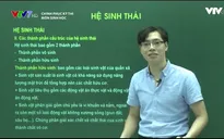 Ôn tập môn Sinh học: Hệ sinh thái