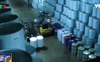10.000 thùng siro lá phong tại Quebec đã biến mất như thế nào?