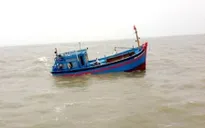 Quảng Nam: Nỗ lực tìm kiếm ngư dân bị mất tích trên biển
