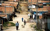 Colombia: Người dân sơ tán chật vật ổn định cuộc sống