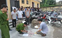 Hải Dương: Triệt phá sới bạc dưới hình thức "đá gà" ăn tiền