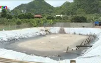 Sơn La: Ô nhiễm môi trường nghiêm trọng do chế biến cà phê