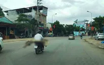 Để gia đình đưa thi thể bệnh nhân về bằng xe máy, bệnh viện bị phê bình