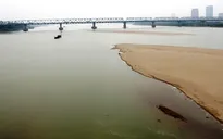 Sở Nông nghiệp & Phát triển nông thôn Hà Nội thực hiện tốt công tác PCTT