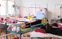 Dịch sốt xuất huyết bùng phát mạnh tại Gia Lai