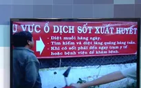 TP.HCM: Xuất hiện ổ dịch sốt xuất huyết nguy hiểm tại Hóc Môn