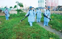Bộ Y tế yêu cầu tăng cường công tác phòng chống sốt xuất huyết