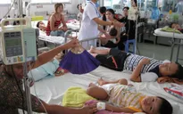 Nhiều ca tử vong do tự điều trị sốt xuất huyết