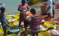Hải quân Sri Lanka bắt giữ nhiều ngư dân và tàu cá Ấn Độ