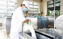 Tháng 6 sẽ có Quy chuẩn về sữa tươi nguyên liệu