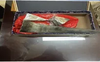 Phát hiện vụ vận chuyển 4kg sừng tê giác qua đường hàng không